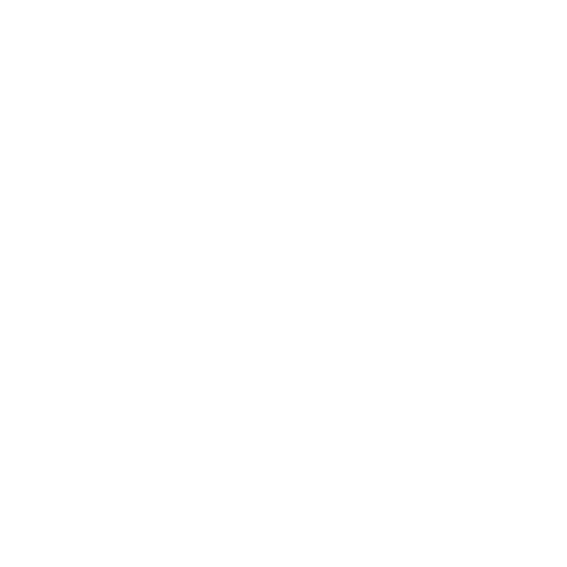 PlanesFYI Logo